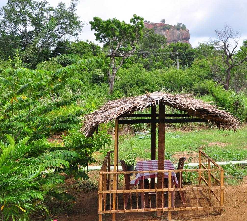 Sigiriya Amenity Home Stay Exterior foto